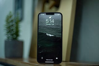 iPhone 13 Pro Max display