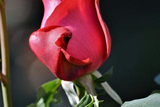 Beautiful Is a Feeling