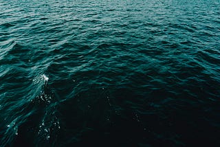 Narwhals Are Real