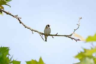 The Quotes Guiding My Day