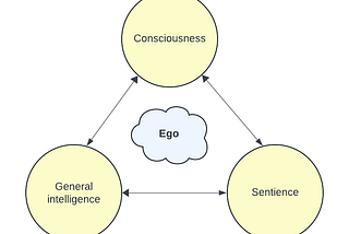 Short note on consciousness and the CSR