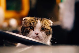 Frustrations of creating a gRPC server in C++