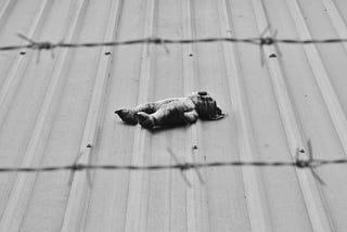 YOU Will Be Forgotten