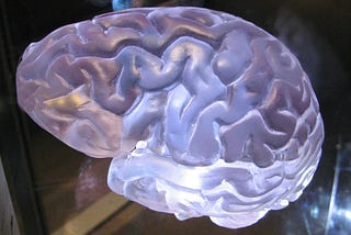 How Our Flawed Brains Prevent Proactive Crisis Management