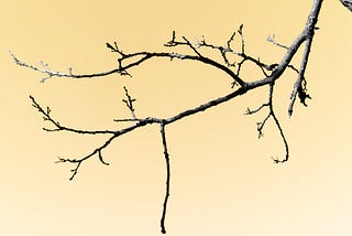 An Introduction to Binary Trees in Python