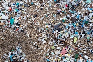 Tampa Bay contains 4 billion bits of microplastic, shocking study indicates