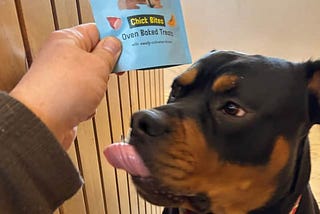 My dog Bruce tried UK’s first lab-grown meat — and his verdict was emphatic