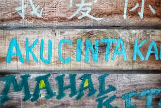 If You’re Going to Learn a New Language, Learn This One