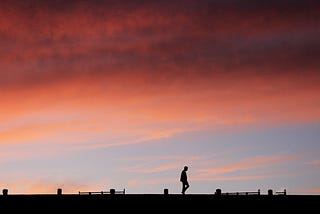 The Long Walk from Data Science to Business Value