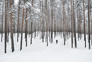 Walking through a nearly leafless bank of trees