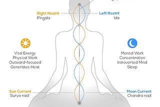 Nadis, Chakras, Energy & the Dimensions of Mind