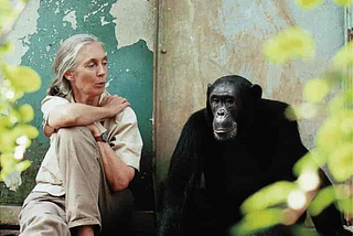 Jane Goodall’s Book of Hope: A Testimony to Optimism in the Face of Environmental Degradation