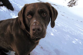 A Note in a Ski-Boot