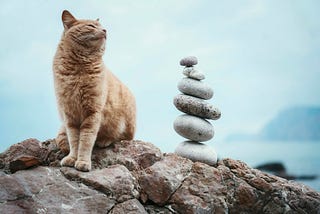No Change, No Story — The Necessity of Breaking a Character’s Equilibrium