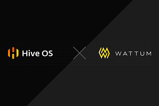 Wattum x Hive OS