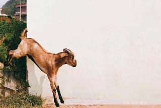 Why most explanations of the Monty Hall problem are (partially) wrong