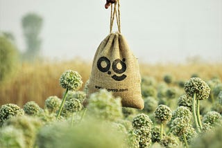 As environmental concerns have grown in importance, the design profession is going through a paradigm shift in favor of eco-friendly and sustainable techniques. Today’s designers must not only produce visually beautiful goods, but also make a commitment to minimising their negative environmental effects. This blog article explores the field of sustainable design, looking at its tenets, innovations, and shared accountability for promoting a more environmentally responsible future.
