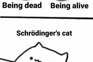 Open the Schrödinger’s Cat Box
