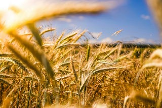 Morning Abundance Ritual for Writers & Artists in Financial Difficulty
