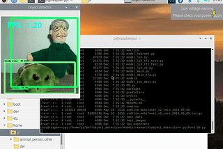 Create object detection in the live time on the Raspberry Pi using TensorFlow Lite