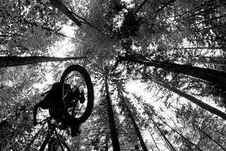 Mountain Bike Categorization Analysis