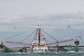Shrimp Trawling: Myths and Mismanagement