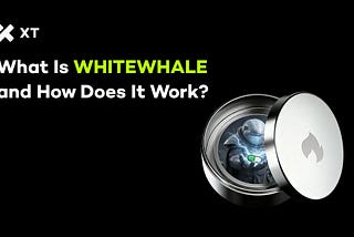 What Is WHITEWHALE? A Meme Coin Built for Crypto’s Deep Waters