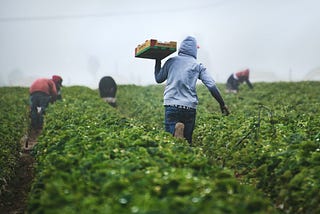 Profound respect for farmers total disrespect for gamers !