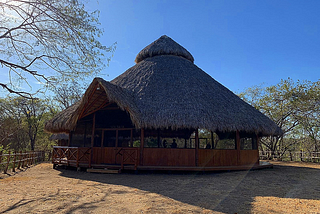 Ayahuasca: A sophisticated retreat to an utterly regressed state.