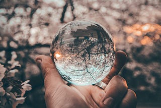 A hand holds a glass sphere, which is refracting an image of a tree inside it