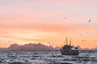THE IMPORTANCE OF THE FISHING INDUSTRY