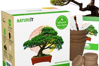 bonsai-seed-starter-kit-diy-grow-your-own-bonsai-from-seed-to-tree-1