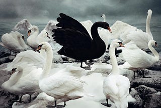 Black Swan: What You Need To Know About the Coronavirus And Your Marketing Strategies