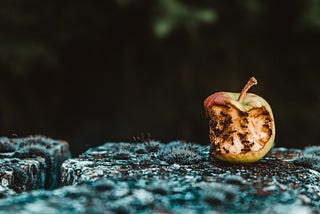 A rotten apple sits atop a rock wall. The apple has several bites taken out of it and the flesh of the fruit has black, rotten spots on it. The rock wall is covered in a bluish or greenish moss or mold. The background is out of focus and mostly black, with some traces of foliage.