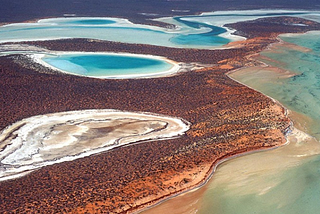 Information and Mapping Design: Shark Bay (UNESCO World Heritage Site)