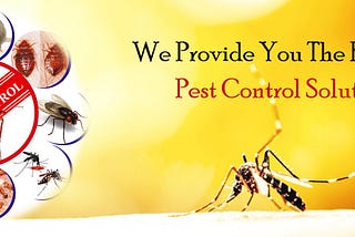 Mosquito Fogging Service in Lucknow