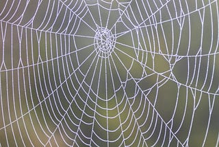 Spider’s web Virginia Woolf