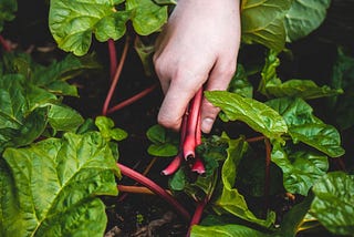 Welcome an Allergy-Friendly Culinary Spring to Your Table