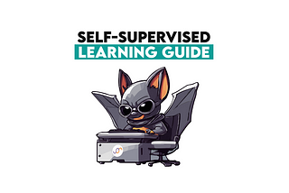 Self Supervised Learning Guide