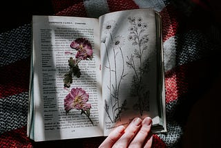 Dried flowers in an old diary