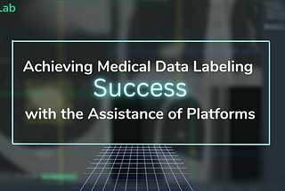 Achieving Medical Data Labeling Success with the Assistance of Platforms