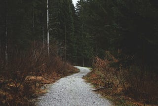 Everyone Is On A Different Journey, So Stop Comparing