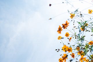 The Power Of Changing Your Thoughts.