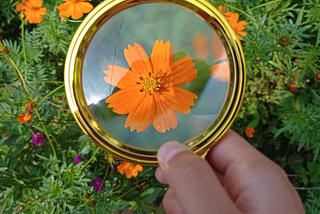Software observability: it’s not about sunk costs, it’s about lost profit