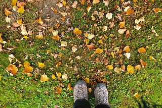 standing amongth yellow and brown leaves