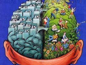 Does nature affect the human brain?