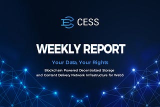 Weekly Report | Jul 15th — 21st, 2024