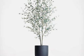 crate-and-barrel-potted-faux-olive-tree-1