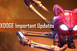 XDOGE Important Updates 2