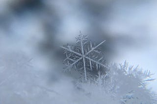 Frost on the window pane.